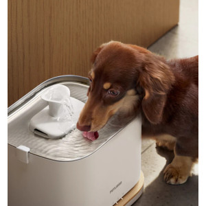 PETLIBRO Dockstream 2 Cordless Smart Pet Water Fountain 3L