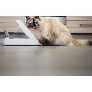 SureFeed Microchip Pet Feeder Connect – With or Without Hub